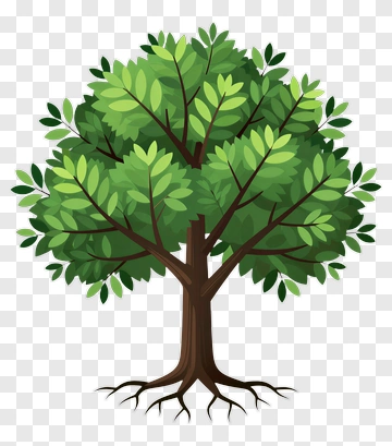 Colorful Tree PNG