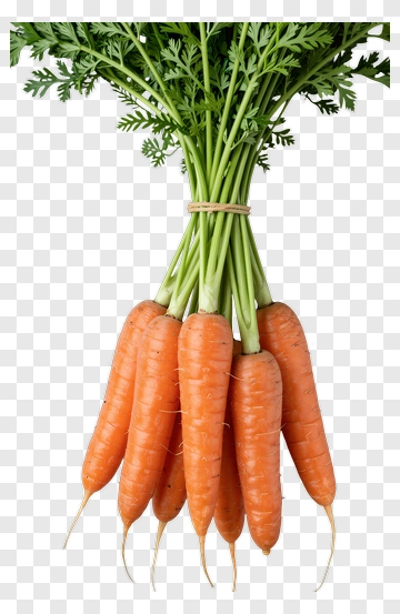 Bunch Of Fresh Carrots PNG