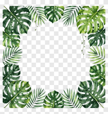 Watercolor Tropical Leaf Frame PNG