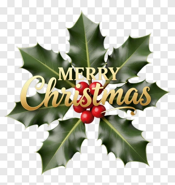 Merry Christmas Holly Leaves With Berries PNG
