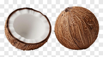 Coconut Half And Whole PNG