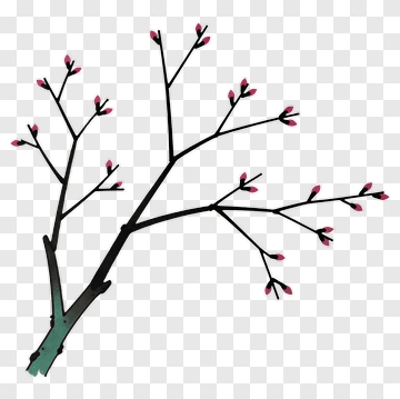 Tree Branch With Pink Buds PNG