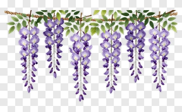 Purple Wisteria Flower Arrangement PNG
