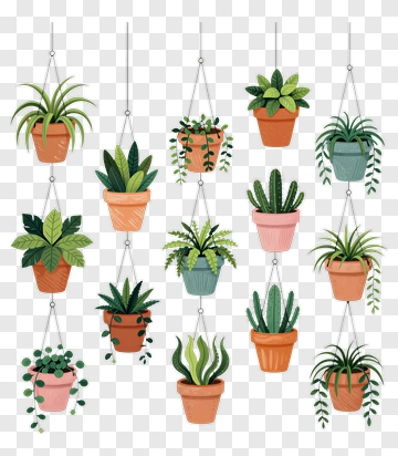 Hanging Plants In Decorative Pots PNG