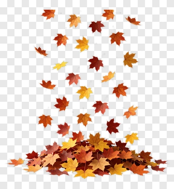 Falling Autumn Leaves PNG