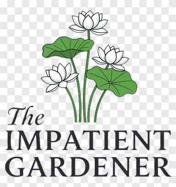 The Impatient Gardener With Lotus Flowers PNG