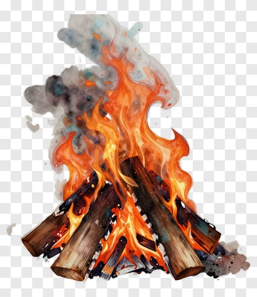 Campfire With Burning Logs PNG