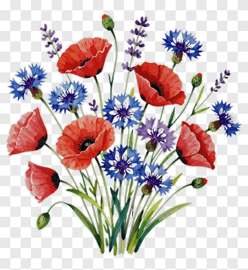 Colorful Flower Bouquet With Poppies And Cornflowers PNG