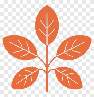 Orange Leaf Cluster PNG