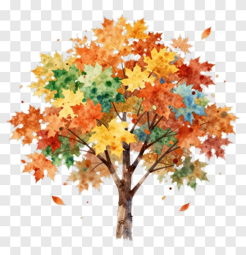 Colorful Tree With Autumn Leaves PNG