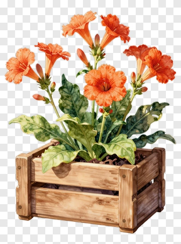 Colorful Flower Arrangement In Wooden Planter PNG