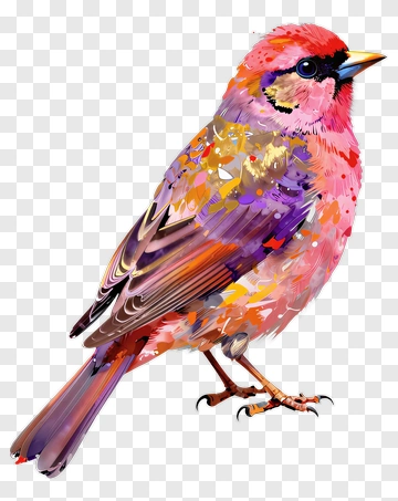 Colorful Bird With Vibrant Feathers PNG