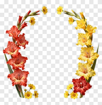 Colorful Floral Frame With Gladiolus And Daisies PNG