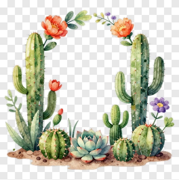 Colorful Cactus And Succulent Arrangement PNG