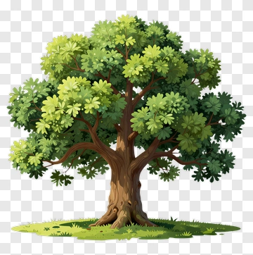 Colorful Tree PNG