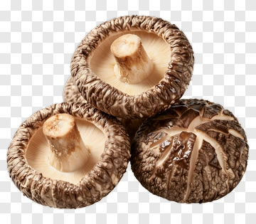 Shiitake Mushrooms PNG