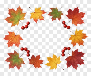 Colorful Autumn Leaf Frame PNG