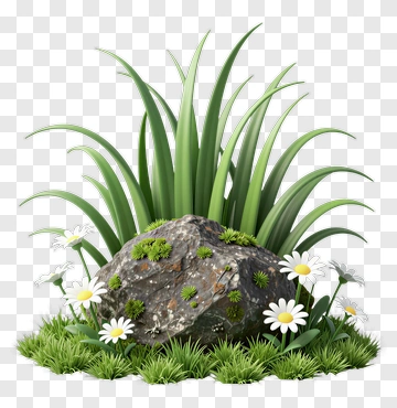 Rock Surrounded By Grass And Flowers PNG