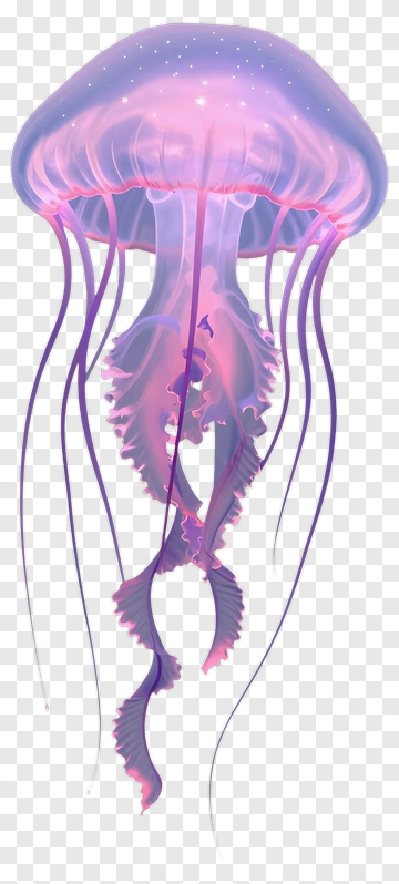 Colorful Jellyfish With Flowing Tentacles PNG