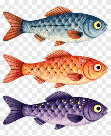Colorful Fish Collection PNG