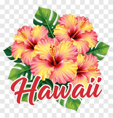 Colorful Hibiscus Flowers With Hawaii Text PNG