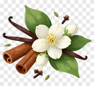Vanilla Flower And Cinnamon Sticks Composition PNG