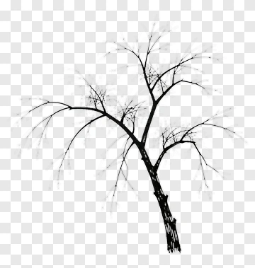 Black Tree With Bare Branches PNG