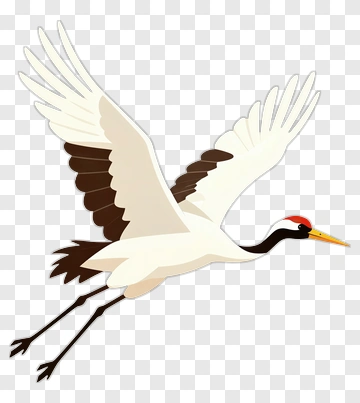 Flying Crane Bird PNG