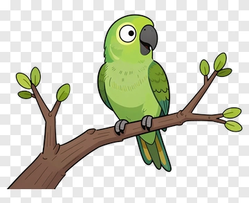 Cartoon Parrot On A Branch PNG