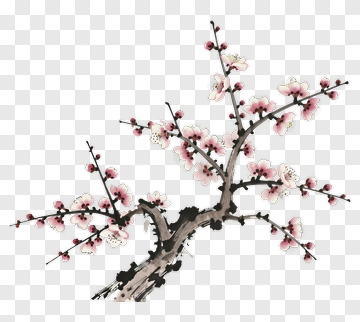 Cherry Blossom Branch With Pink Flowers PNG