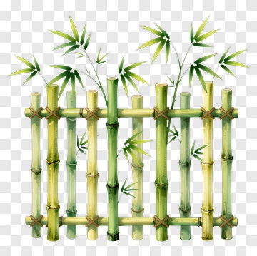 Bamboo Fence With Green Leaves PNG