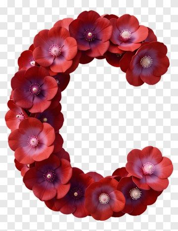 Floral Letter C PNG