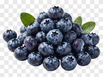 Fresh Blueberries With Green Leaves PNG
