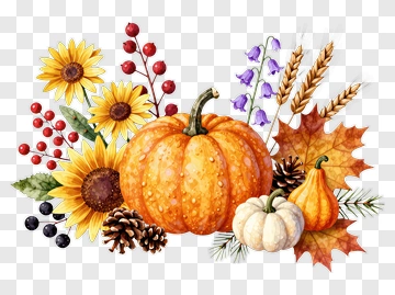Autumn Pumpkin And Flower Arrangement PNG