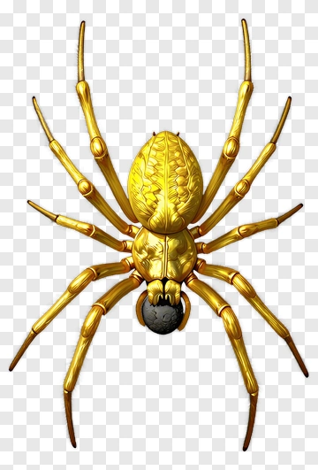 Golden Spider PNG
