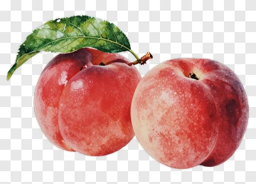 Peach With Leaf PNG