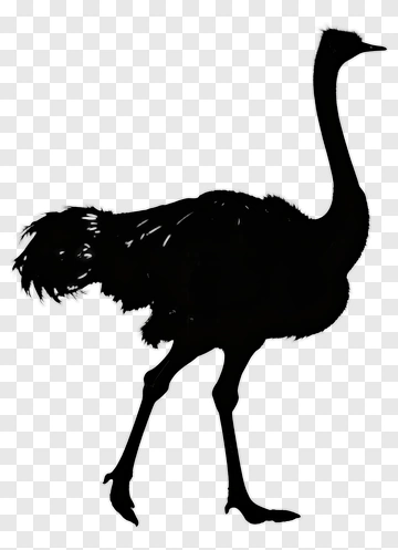 Ostrich Silhouette PNG