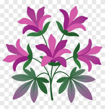 Colorful Flower Bouquet PNG