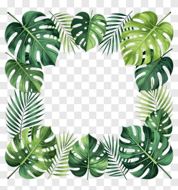 Tropical Leaf Frame PNG