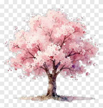 Watercolor Cherry Tree In Bloom PNG