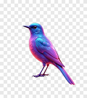 Colorful Bird With Vibrant Blue And Pink Feathers PNG