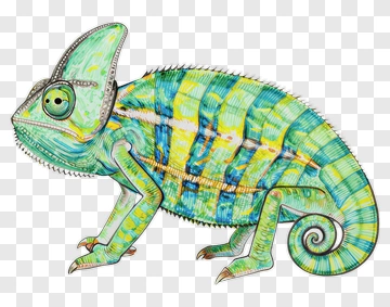 Colorful Chameleon Illustration PNG