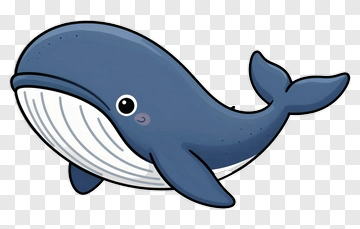 Cartoon Whale PNG