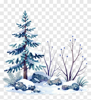 Winter Scene With Snow-Covered Pine Tree And Rocks PNG