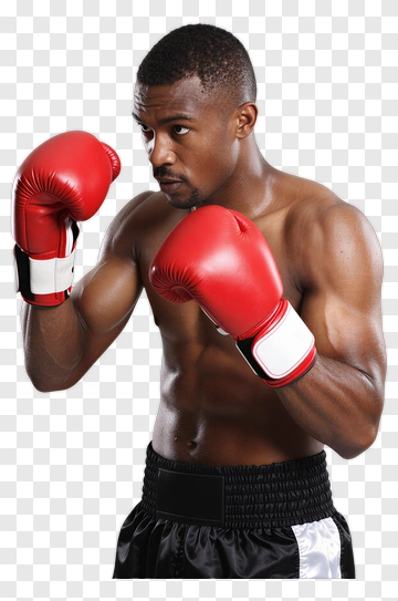 Boxer In Red Gloves Posing For A Fight PNG