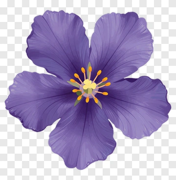 Purple Flower With Yellow Stamen PNG