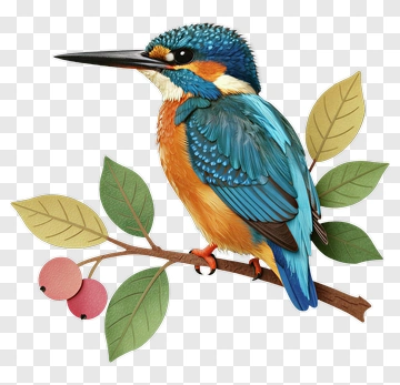 Colorful Kingfisher Perched On A Branch PNG