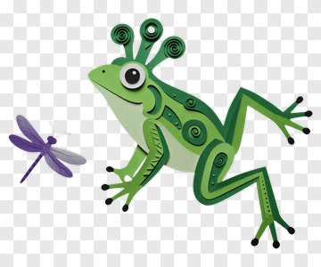 Colorful Frog With A Dragonfly PNG
