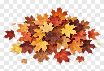 Colorful Autumn Leaves PNG