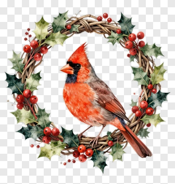 Cardinal Bird In A Holiday Wreath PNG
